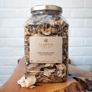 Dried Porcini Mushroom Grade EXTRA (500g) - Plantin