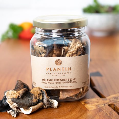 Plantin - Dried Wild Forest Mushrooms 50g jar