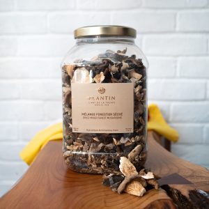 Dried Wild Mushrooms 500g - Plantin