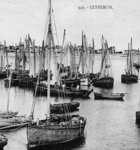 Sardine Fishing Boats At Anchor in Port-Maria Quiberon