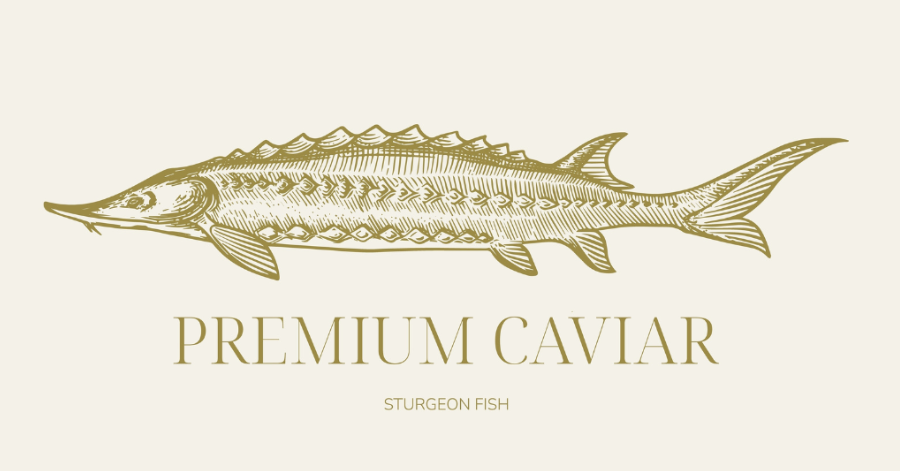 Beluga Caviar – Why Is It So Expensive?