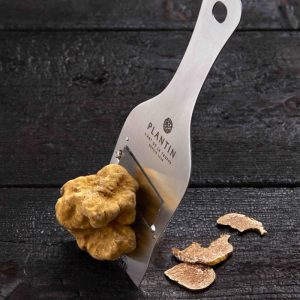 Fresh White Truffle From Alba
