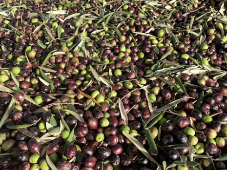 Olives