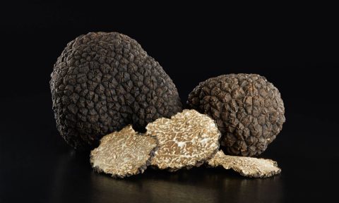 Plantin Black Truffles