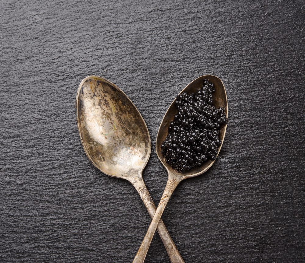 Paddlefish Caviar vs Sturgeon Caviar