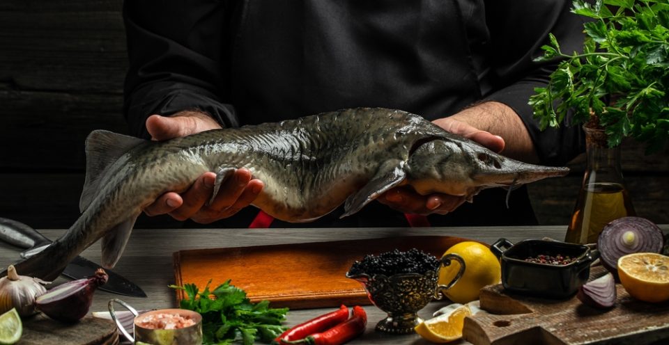 Sturgeon Whole Fish Being Held Above a Chopping Board